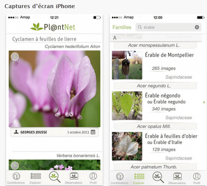 Plantnet application iphone