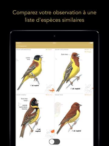 Le Guide Ornitho pour iPad